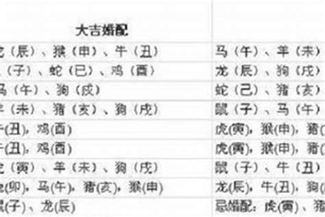 1997年属|1997年属牛的最佳配偶 97年属牛的和什么属相最配